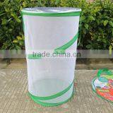 Mesh Cage for Observing Insects thumbnail-1