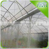 Glass/Film/Plastic/PC Sheet Greenhouse thumbnail-2