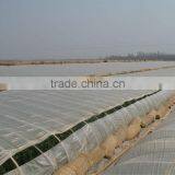 Anti Fog Anti Drip UV Protection PE Greemhouse Film for Vegetable Greenhouse thumbnail-1