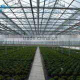 SiChuan BaoliDa Blackout Greenhouse PE Film Greenhouse thumbnail-2