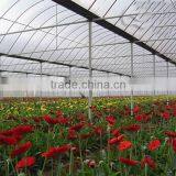 HDPE LDPE Irrigation Pipe thumbnail-4