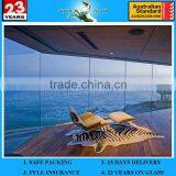 5+9a+5mm Glass Screen Wall thumbnail-1