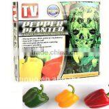 Planter,Topsy Turvy,green Pepper Planter