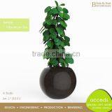 Clear Glass Hydroponics Pot System thumbnail-4