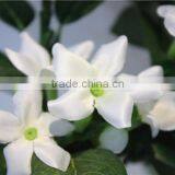 Home and Outdoor Garden Table Wedding Gate Decoration 60cm or 24inches Height Artificial Cream Bride Vine Car Flowers E04 0602 thumbnail-1