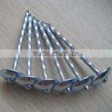 BWG9 Galvanized Umbrella Head Twisted Roofing Nail thumbnail-1