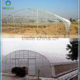 Long Life Single Span Tunnel Potato Greenhouse With Stable Frame thumbnail-1