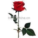 Wedding and Home Decor Best Selling Factory Price Artificial Flowers thumbnail-1