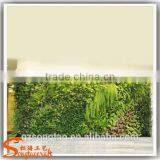 2017 New Product Vertical Artificial Green Wall for Decorative Indoor thumbnail-4