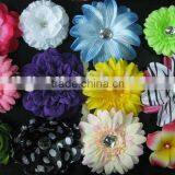 Daisy Flower thumbnail-1