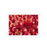 Lycopene/Tomato Extract thumbnail-1