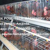 Tanzania Poultry Farm Hot Galvanized Cage & A Type Battery Cage Layer Breeding Chicken Cage/Coop for Poultry Farm