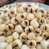 Lotus Seed Lotus Nut Lotus Kernel Dried Handmade White Lotus Seed With Core Plumule thumbnail-3