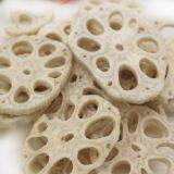 Машина для сушки репчатого корня thumbnail-4