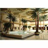 Preserved Date Palm thumbnail-5