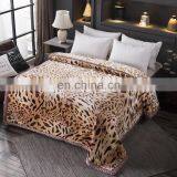 2020 Factory Direct Supply Super Soft Raschel Fabric 2 Layers Thickened Warm Winter Traveling Bedding Sofa Throw Blanket thumbnail-2