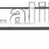 Carp Rod thumbnail-1