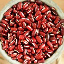 Phaseolus Calcaratus/Red Phaseolus Beans thumbnail-1