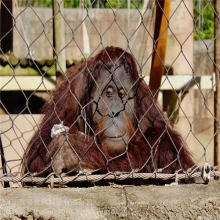 304/316 High-Strength Stainless Steel Cable Net Wire Rope Mesh for Aviary/Zoo Fence thumbnail-5