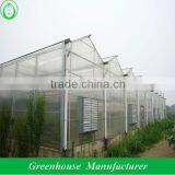 Wholesale pc Hollow Sheet Greenhouse