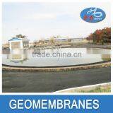 High Quality Fish and Shrimp Farm Hdpe Geomembrane thumbnail-6