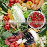 Laced Table Cloth Washable Vinyl Table Cloth Happy Birthday Table Cloth