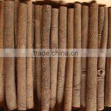 CASSIA TUBE NEW CROP 2016 Cassia Tube/tube Cassia/cassia Stick thumbnail-3