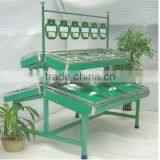 Directed Manufactured Vegetable Fruit Shelves