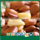 Wholesale Shelled Coated High Quality Cedar Open Pine Nuts in Shell