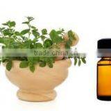 OREGANO ESSENTIAL OIL/ INDIAN ORIGIN
