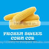 Frozen Sweet Corn Cob