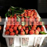 LYCHEES FROM THAILAND, AEC WORLD NET WORK. NISA FOOD