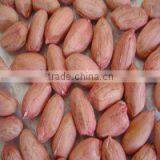 Crop New Natural Red Skin Peanut Kernel Natural Type 40-50 thumbnail-1