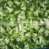 Frozen Broccoli With Best Price, Frozen Vegetable thumbnail-3