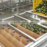 Full Automatic Industrial Spray Vegetable And Fruit Washer Washing Machine thumbnail-4