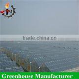 Energy-Efficient Solar Greenhouses thumbnail-3