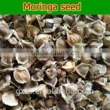 High Quality Dry Moringa Seed 1000g thumbnail-4