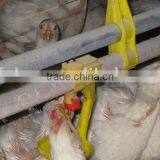 Poultry Equipments of Chicken Drinking Nipple