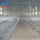 Brand New Automatic Chicken Layer Cage for Sale in Philippines With High Quality thumbnail-5