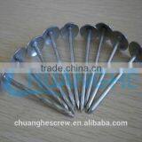 Aluminum Material Roofing Nails thumbnail-4