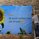 Sunflower Seed Shelling Machine thumbnail-1