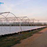 High Performance Pe Film Greenhouse For Strawberry thumbnail-6