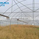 Polythene Film Solar Greenhouse For Vegetables thumbnail-3