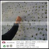China Agricultural PP Non-woven Fabric thumbnail-6