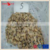 IQF Cooked Baby Clam Meat Frozen thumbnail-6