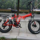 20inch With CE Certificate Foldable Fat Tire Brushless Hub Motor Electric Folding Bike thumbnail-1