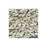 Sell Sunflower Seed Kernels thumbnail-1