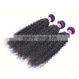 Wholesale Virgin Hair Vendors Fast Shipping Malaysian Curly Hair thumbnail-4