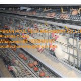Indonesia Chicken Supplier Chicken Shed Hot Galvanized Layer Cage & A Type Battery Breeder Layer Chicken Cage & Breeding Layer Egg Coop for Poultry Farm