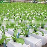 Agricultural Greenhouse Hydroponic Channels Set Hydroponic Growing Systems thumbnail-3